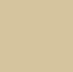Beige solid colors finish swatch
