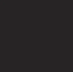 Black solid colors finish swatch