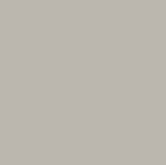 Concrete Grey solid colors finish swatch